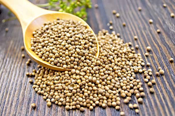 تصویر 4 از خرید و قیمت تخم گشنیز تازه + فروش عمده
